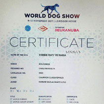 World Dog Show 2017