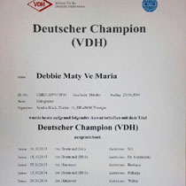 German Champion VDH