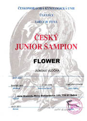 Czech Junior Champion