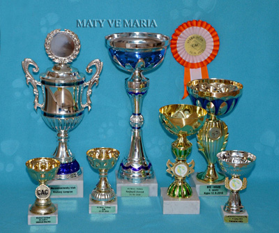 awards from shows