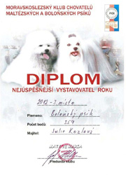 Nejúspěšnější vystavovatel roku 2012, boloňský psík - 3. místo