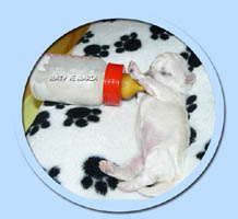 Cathie - 11 days old