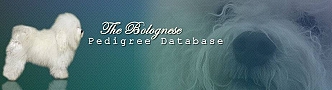 bolognese database