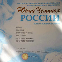 Russian Junior Champion
