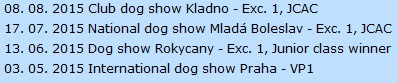 Enrico's dog show