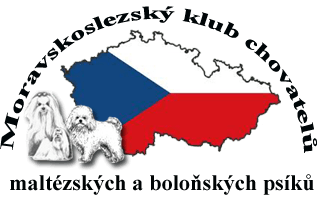 Moravskoslezský klub chovatelů maltézských a boloňských psíků