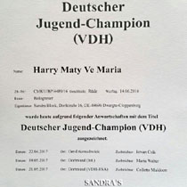 Německý Junior Šampion VDH