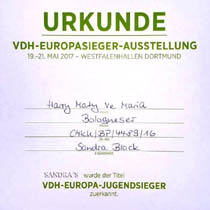 VDH-European Young Winner 2017