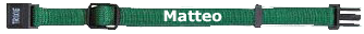 Matteo