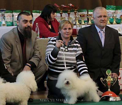 Keisy - 3 years old, Club dogs show Brno Tuřany, 2014